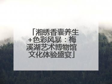 湘绣香囊养生+色彩风暴：梅溪湖艺术博物馆文化体验盛宴