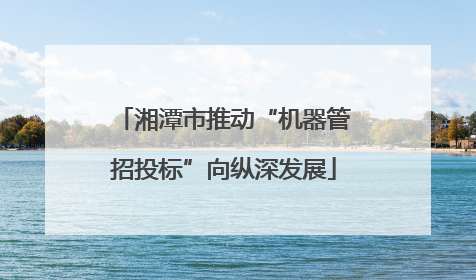 湘潭市推动“机器管招投标”向纵深发展