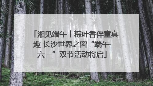湘见端午丨粽叶香伴童真趣 长沙世界之窗“端午·六一”双节活动将启