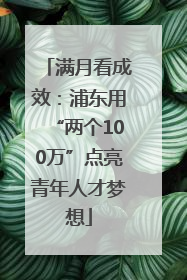 满月看成效：浦东用“两个100万”点亮青年人才梦想