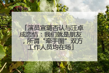 演员宣璐否认与汪卓成恋情：我们就是朋友，所谓“牵手图”双方工作人员均在场