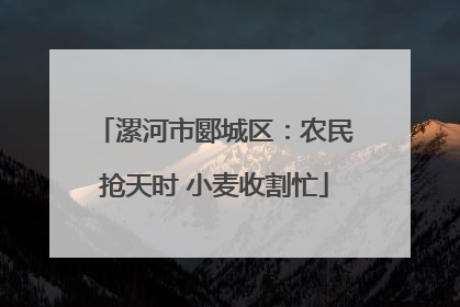 漯河市郾城区：农民抢天时 小麦收割忙