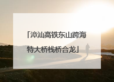 漳汕高铁东山跨海特大桥栈桥合龙