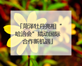 菏泽牡丹亮相“哈洽会”撬动国际合作新机遇