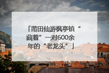 莆田仙游枫亭镇“藏着”一对600余年的“老龙头”