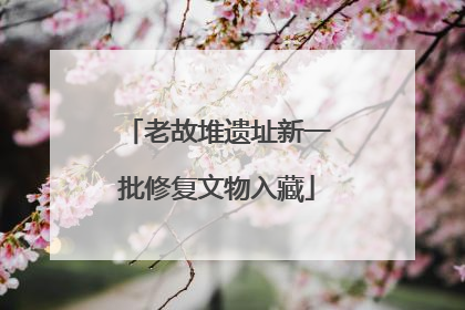 老故堆遗址新一批修复文物入藏