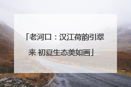 老河口：汉江荷韵引翠来 初夏生态美如画