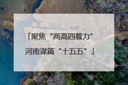 聚焦“两高四着力” 河南谋篇“十五五”