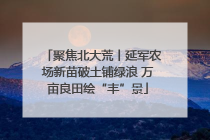 聚焦北大荒丨延军农场新苗破土铺绿浪 万亩良田绘“丰”景