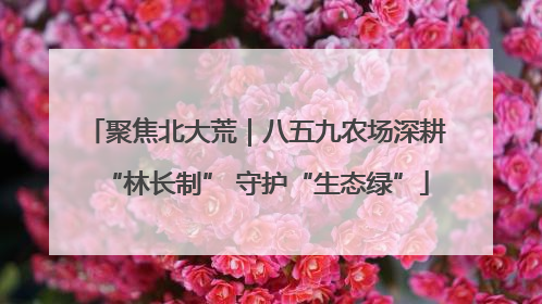 聚焦北大荒｜八五九农场深耕“林长制” 守护“生态绿”
