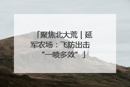聚焦北大荒｜延军农场：飞防出击 “一喷多效”