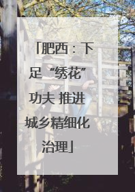 肥西：下足“绣花”功夫 推进城乡精细化治理