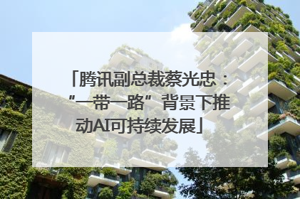 腾讯副总裁蔡光忠：“一带一路”背景下推动AI可持续发展