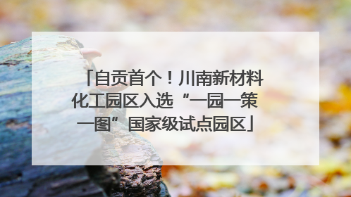 自贡首个！川南新材料化工园区入选“一园一策一图”国家级试点园区