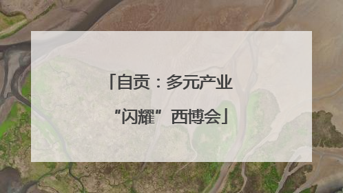 自贡：多元产业“闪耀”西博会