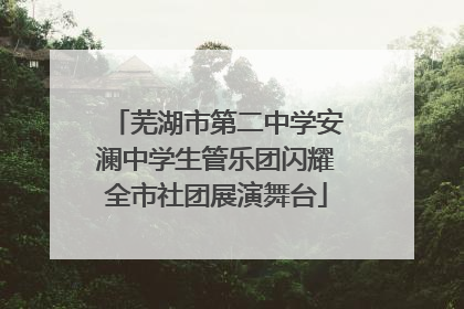 芜湖市第二中学安澜中学生管乐团闪耀全市社团展演舞台