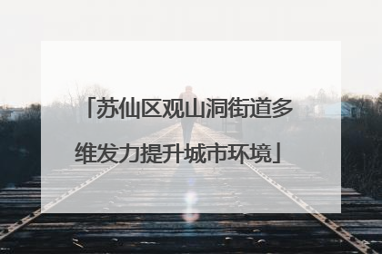 苏仙区观山洞街道多维发力提升城市环境