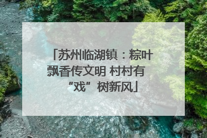 苏州临湖镇：粽叶飘香传文明 村村有“戏”树新风