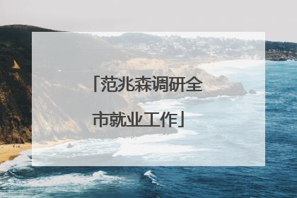 范兆森调研全市就业工作