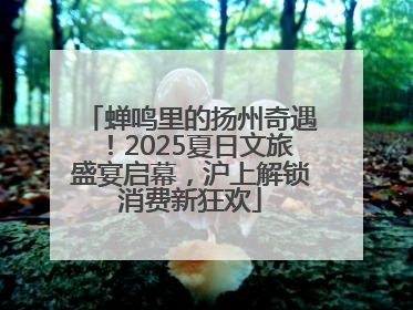 蝉鸣里的扬州奇遇！2025夏日文旅盛宴启幕，沪上解锁消费新狂欢