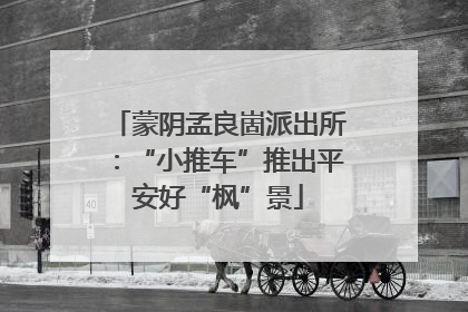 蒙阴孟良崮派出所：“小推车”推出平安好“枫”景