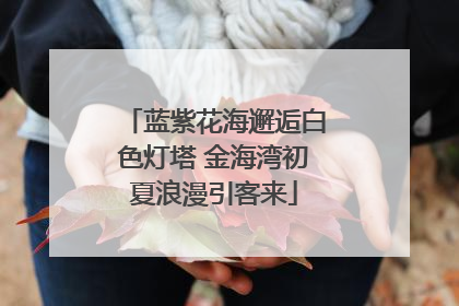 蓝紫花海邂逅白色灯塔 金海湾初夏浪漫引客来