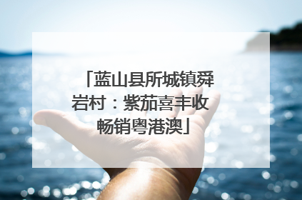 蓝山县所城镇舜岩村：紫茄喜丰收 畅销粤港澳