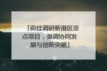 蔺佳调研新港区重点项目，强调协同发展与创新突破