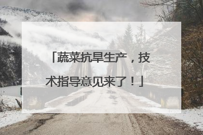 蔬菜抗旱生产，技术指导意见来了！