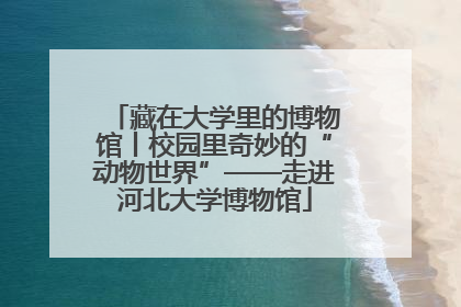 藏在大学里的博物馆丨校园里奇妙的“动物世界”——走进河北大学博物馆