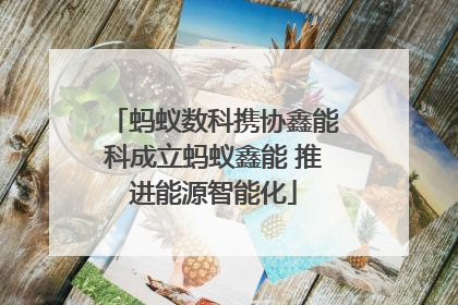 蚂蚁数科携协鑫能科成立蚂蚁鑫能 推进能源智能化