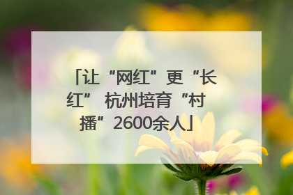 让“网红”更“长红” 杭州培育“村播”2600余人
