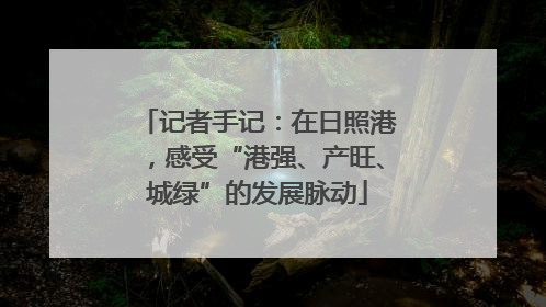 记者手记：在日照港，感受“港强、产旺、城绿”的发展脉动