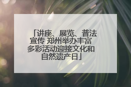 讲座、展览、普法宣传 郑州举办丰富多彩活动迎接文化和自然遗产日