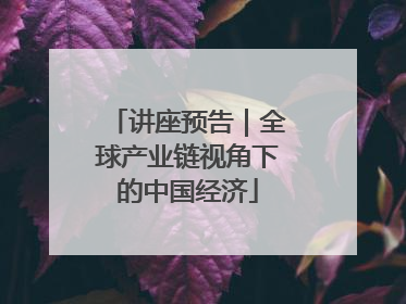 讲座预告｜全球产业链视角下的中国经济