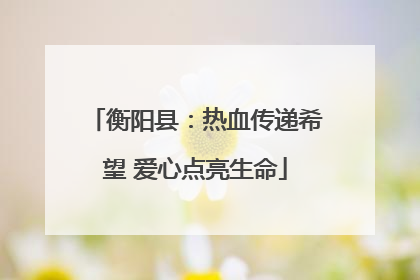 衡阳县：热血传递希望 爱心点亮生命
