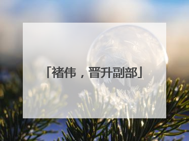 褚伟，晋升副部