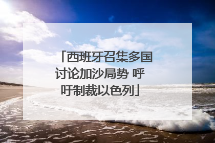 西班牙召集多国讨论加沙局势 呼吁制裁以色列