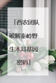 西农团队破解秦岭野生木耳基因密码