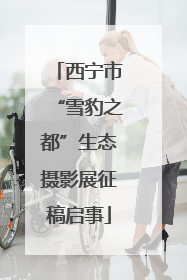 西宁市“雪豹之都”生态摄影展征稿启事