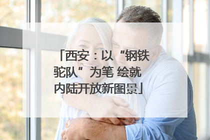 西安：以“钢铁驼队”为笔 绘就内陆开放新图景