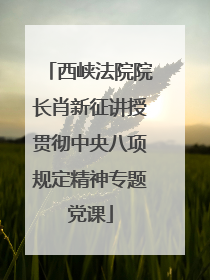 西峡法院院长肖新征讲授贯彻中央八项规定精神专题党课