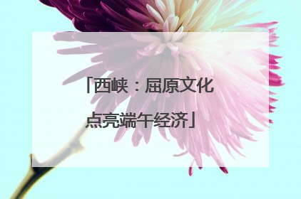 西峡：屈原文化点亮端午经济