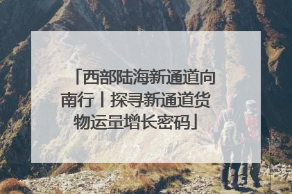 西部陆海新通道向南行丨探寻新通道货物运量增长密码