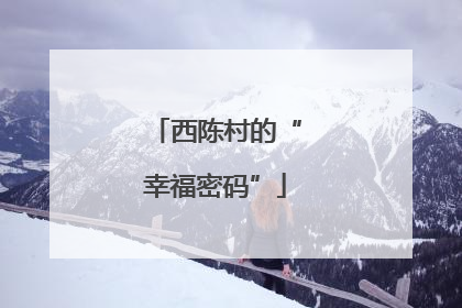 西陈村的“幸福密码”