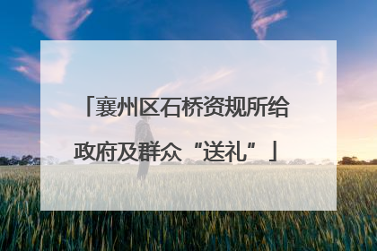 襄州区石桥资规所给政府及群众“送礼”
