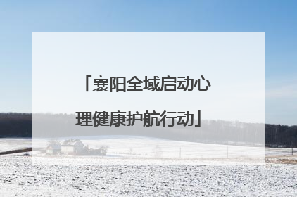 襄阳全域启动心理健康护航行动