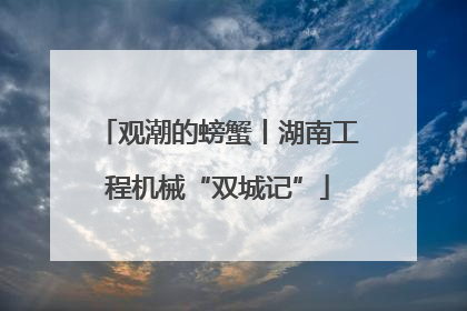 观潮的螃蟹丨湖南工程机械“双城记”