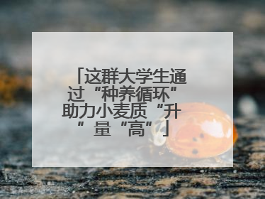 这群大学生通过“种养循环”助力小麦质“升”量“高”