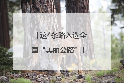 这4条路入选全国“美丽公路”